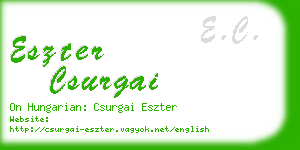 eszter csurgai business card